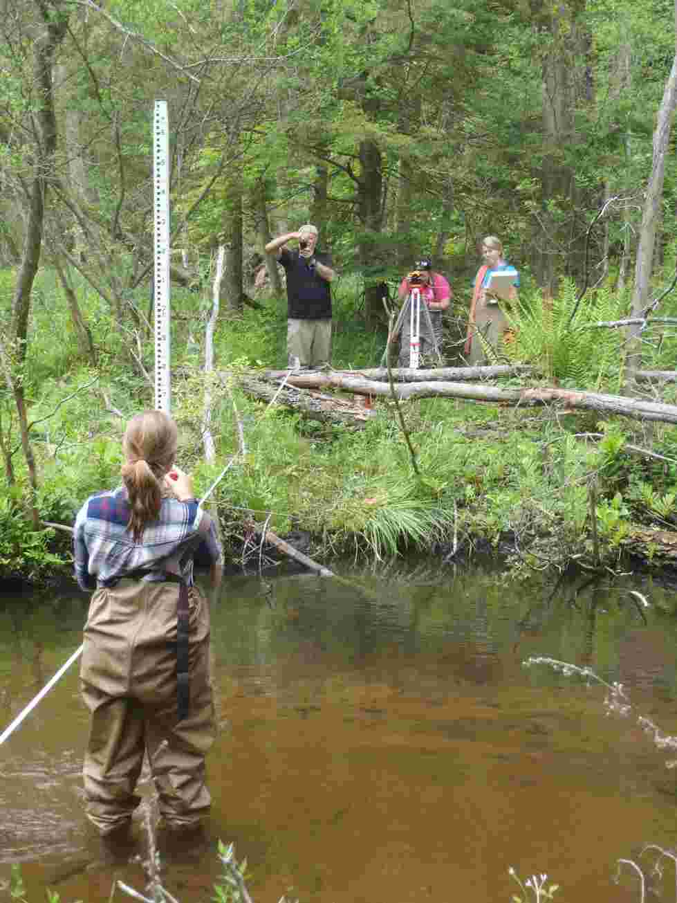 Stream transects were established and surveyed throughout the Duck Creek watershed.
